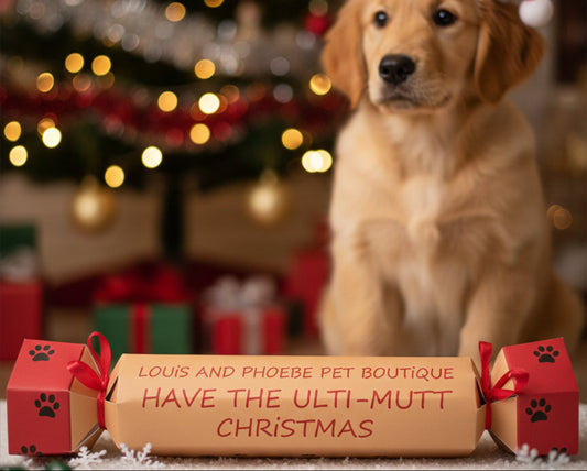 Doggie Christmas Cracker with natural beef chunks New Zealand