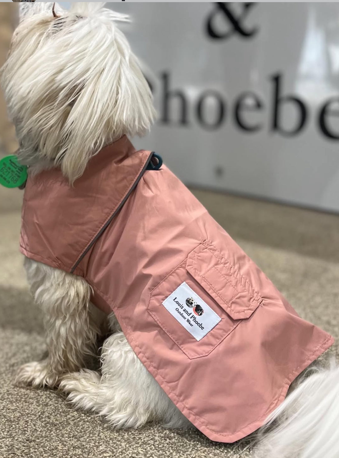 Waterproof raincoat for dogs pink NZ / Australia