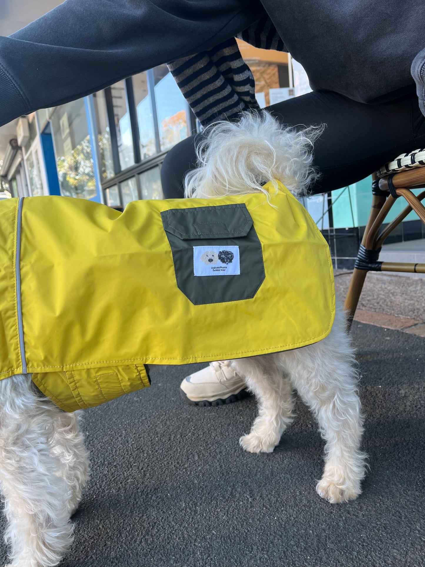 Lightweight dog raincoat Australia