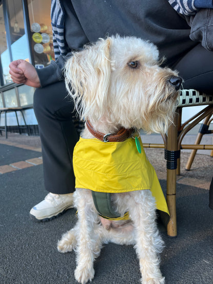 100% Waterproof Dog Raincoat Australia