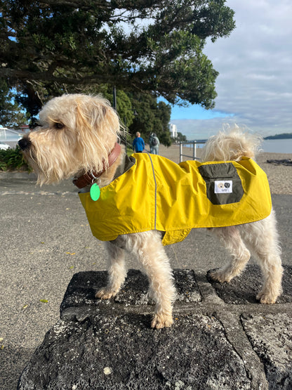 Waterproof dog raincoat Auckland