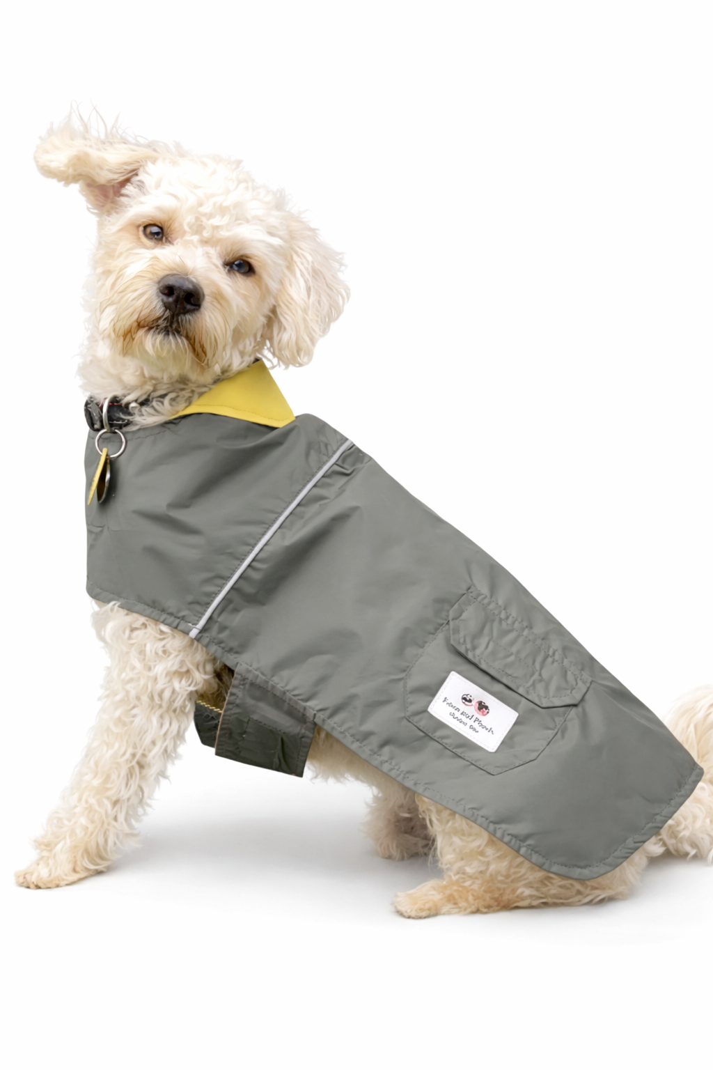 Dog wearing the Louis and Phoebe Waterproof Raincoat Green New Zealand
