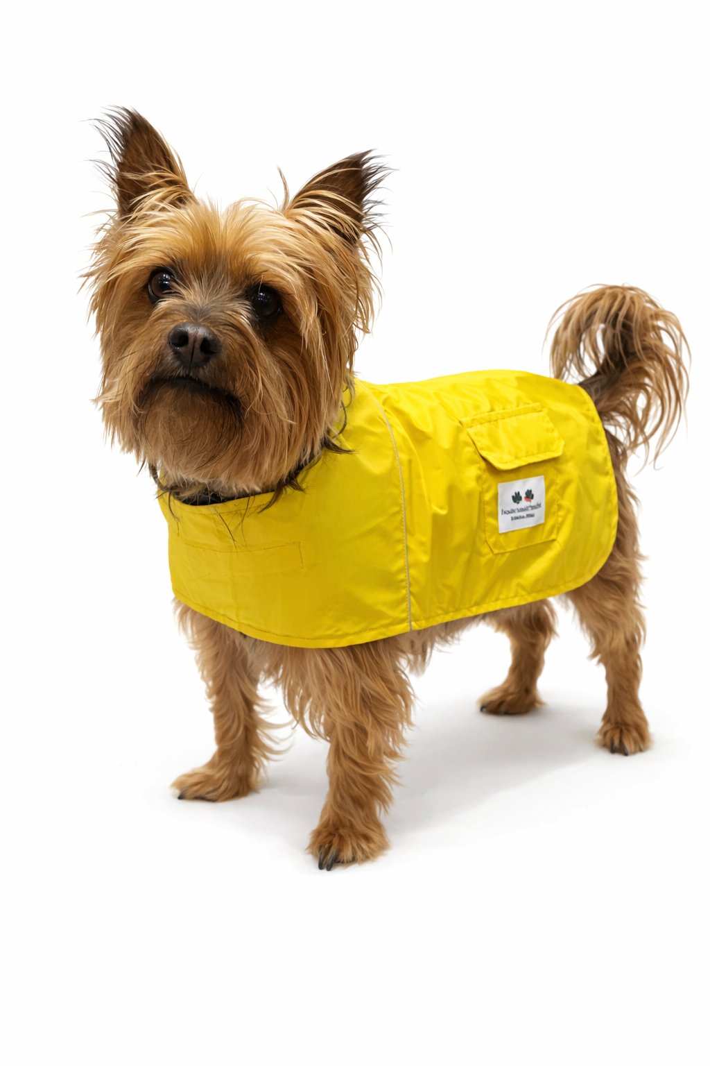 Waterproof dog raincoat green and yello New Zealand