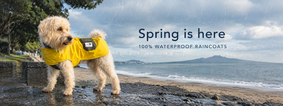Waterproof dog raincoat NZ