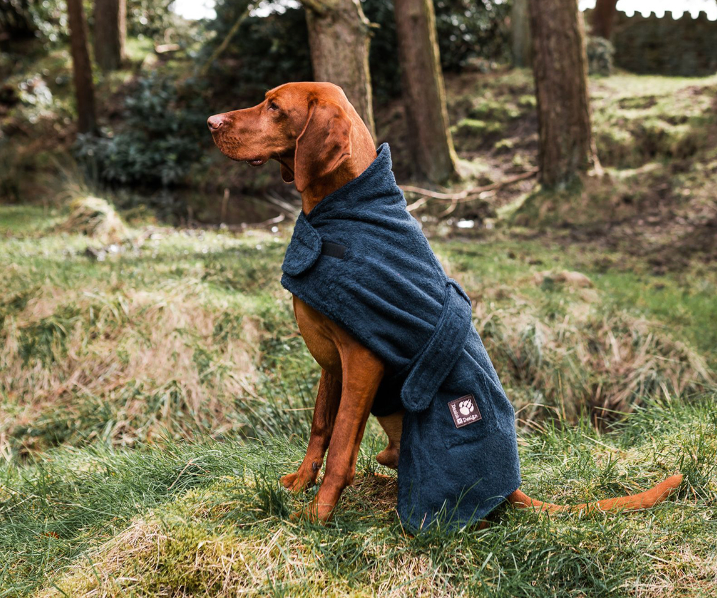Large dog robe NZ