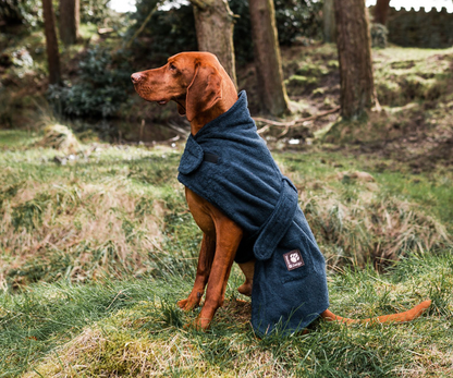 Large dog robe NZ