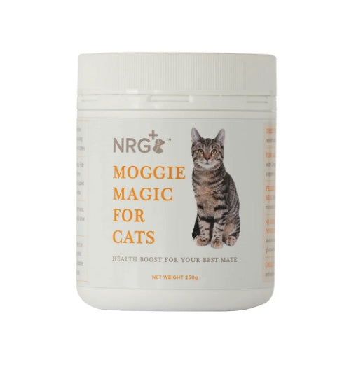 Cat Boost Supplement