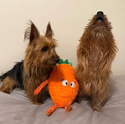 Carrot plush toy is loved by small dogs too.