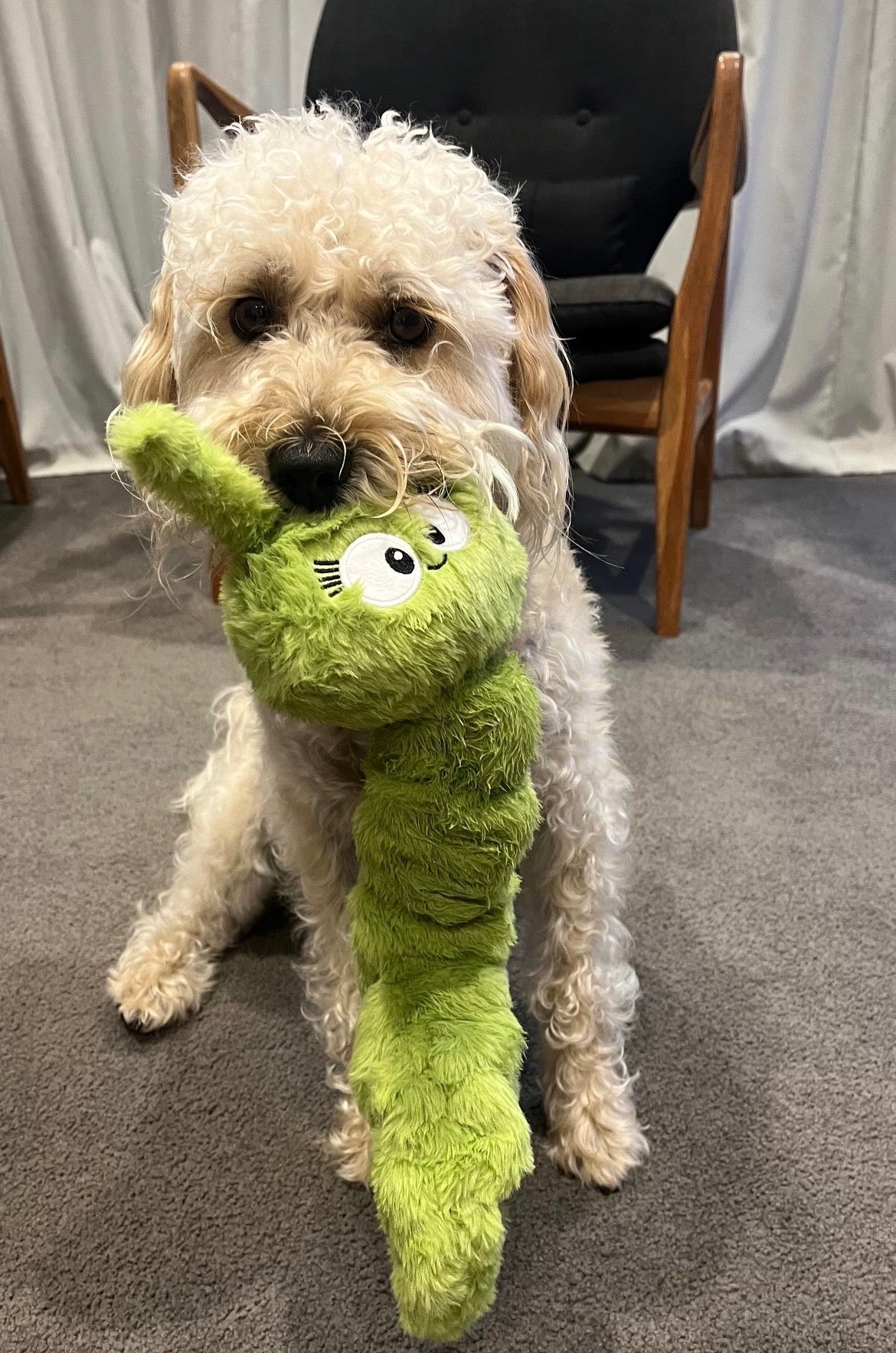 Plush dog tug toy