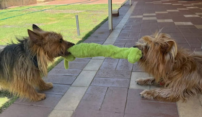 Plush tug dog toy