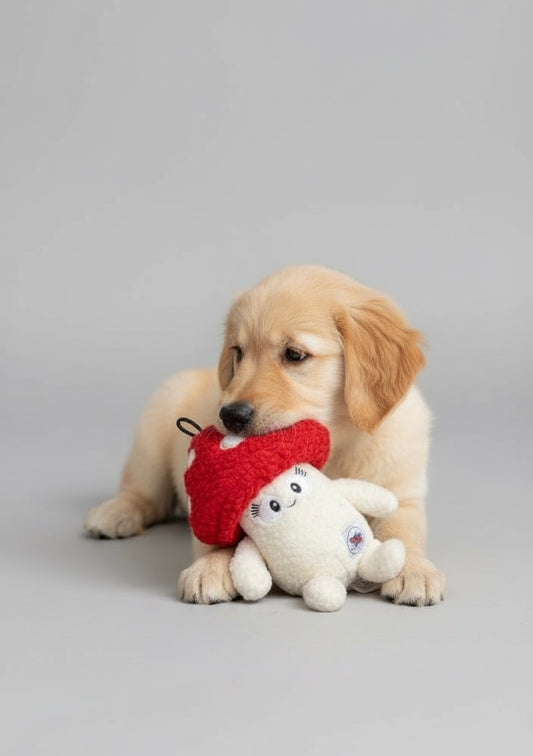 Treat Hiding Dog Toy