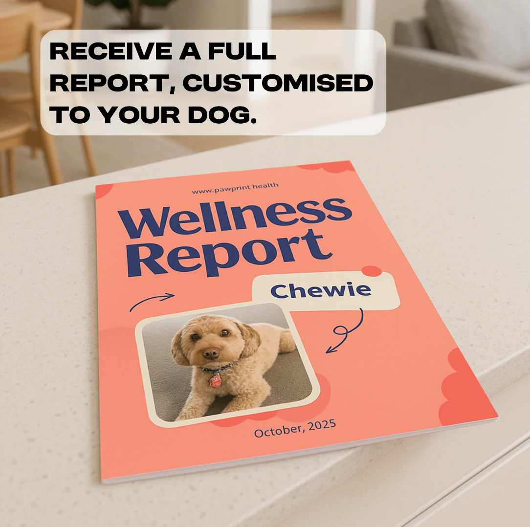 Test kit for allergies NZ