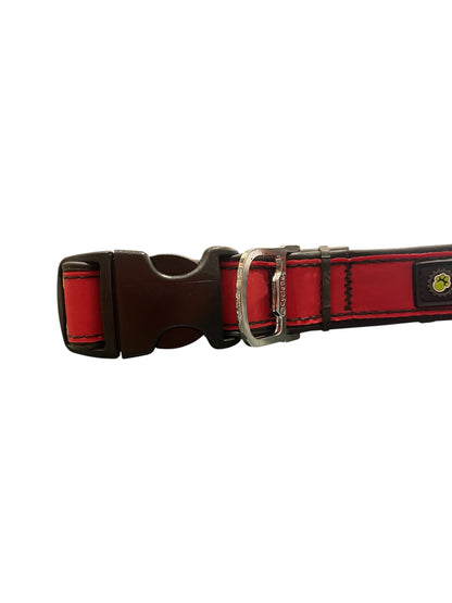 cycle Dog Waterproof, Reflective dog collars