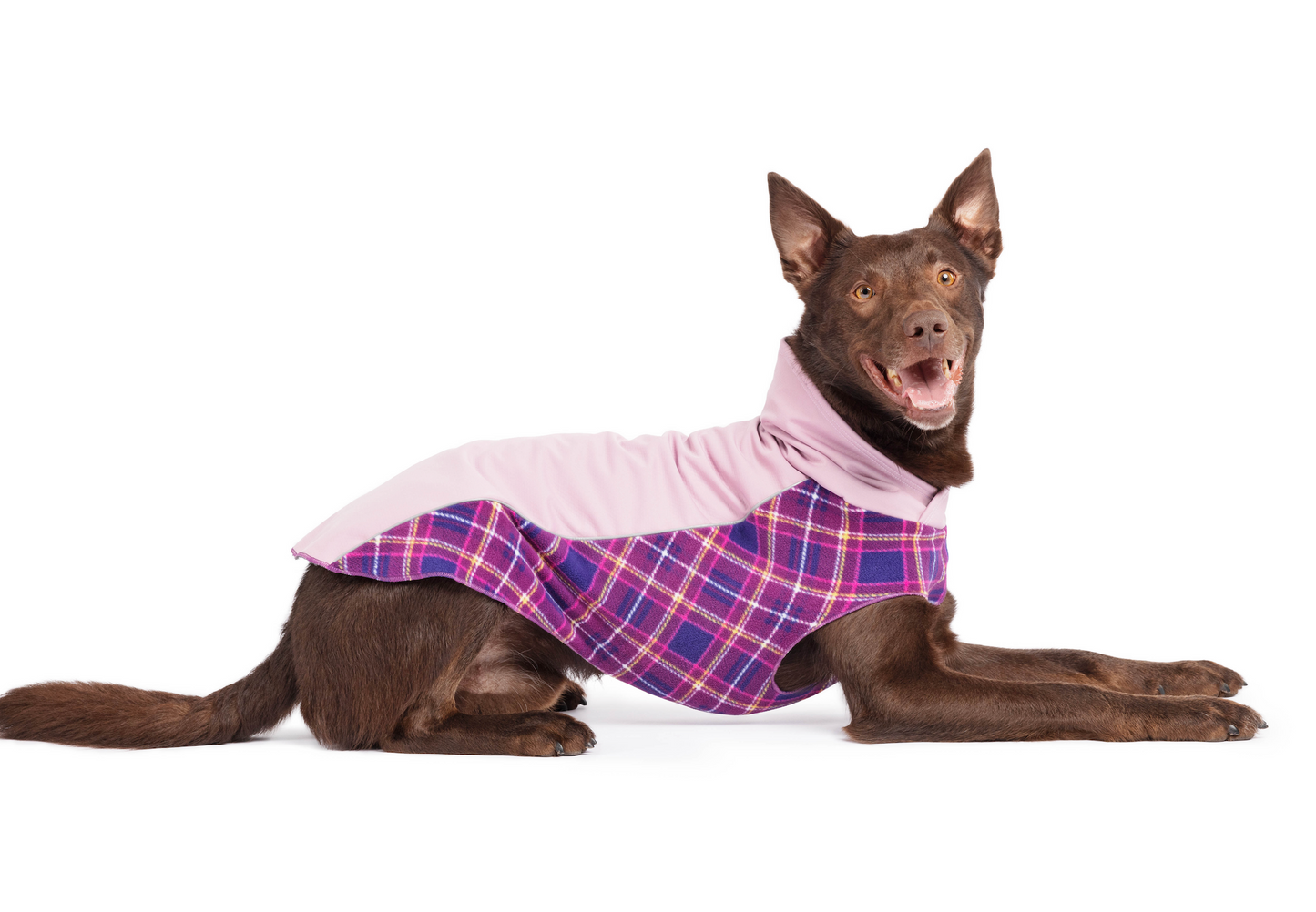 Dog pullover NZ