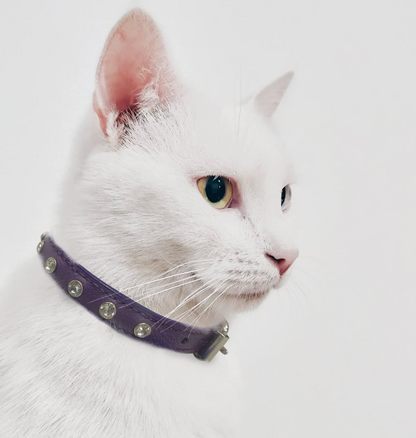 Cat wearing the Replica diamonds Cat collar New Zealand