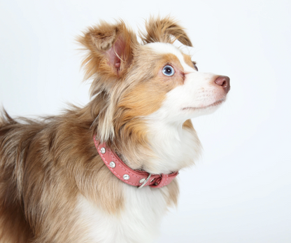 pink replica diamonds leather dog collar New Zealand