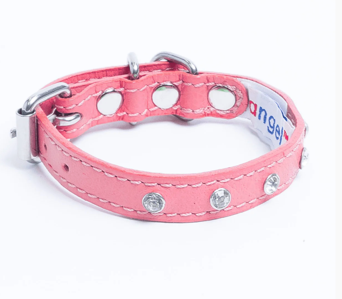 Pink dog collar leather NZ