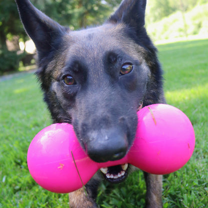 German Shepherd holding a RuffDawg Big Dawg XL
