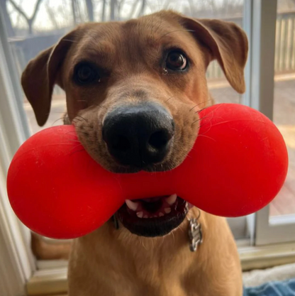 Tough Dog toys for big dogs NZ