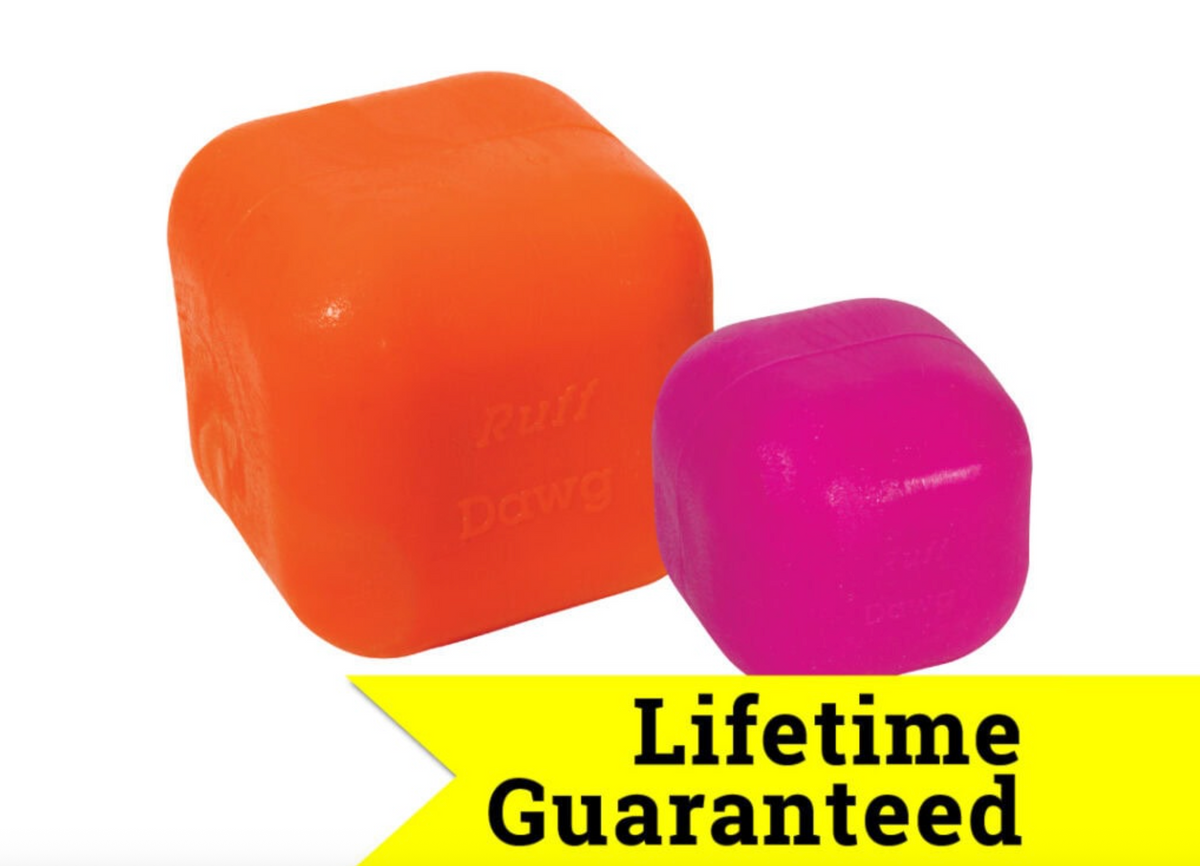 Tough dog toys NZ