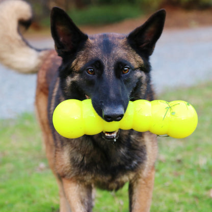 The toughtest Dog Toy yet