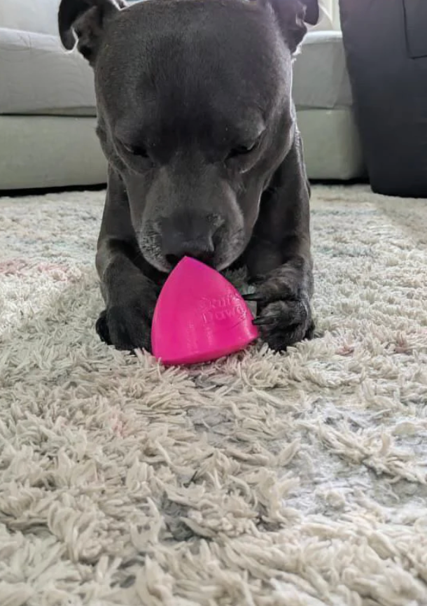 Best dog toy for large dogs NZ