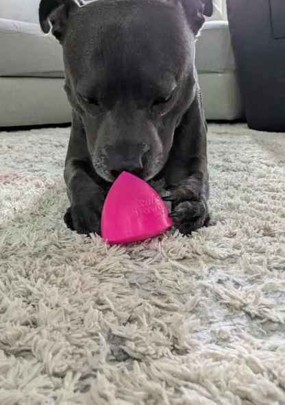Best dog toy for large dogs NZ