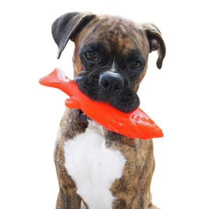 The ultimate water dog toy