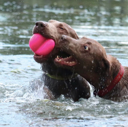 Labradors in the river with a RuffDawg Hart Dog Toy