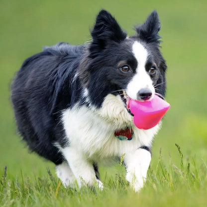 Best indestructible dog toy