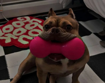 Tough dog chew toy NZ
