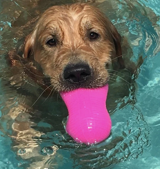 RuffDawg Peanut Crunch Dog Toy Floats New Zealand