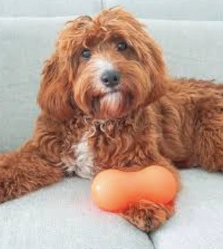 RuffDawg Treat Hiding Peanut Crunch Dog Toy NZ