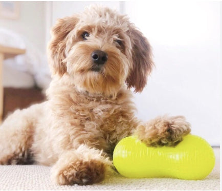 Dog playing with the RuffDawg Peanut Crunch Dog Toy New Zealand