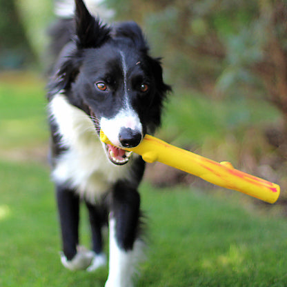 Best stick dog toy