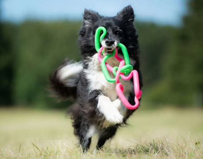 Stretchy dog tug toy NZ