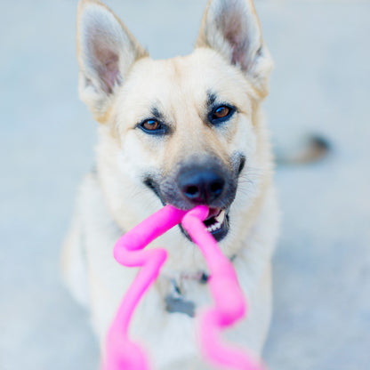German Shepherd playing tug with the RuffDawg Supertug dog toy.
