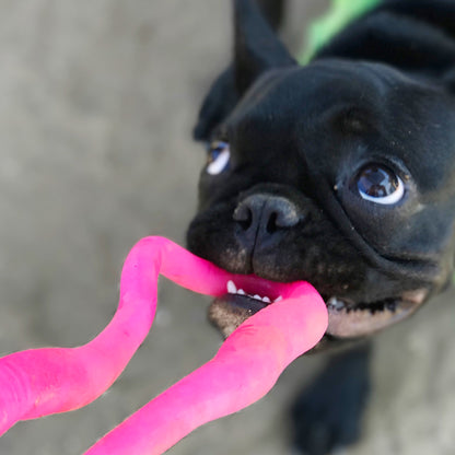 Super stretchy dog toy