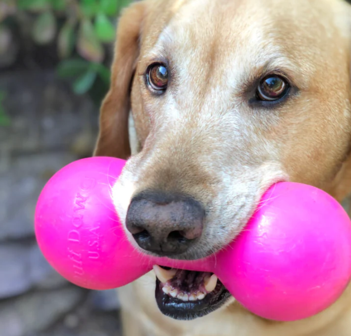 Indestructible dog toy NZ