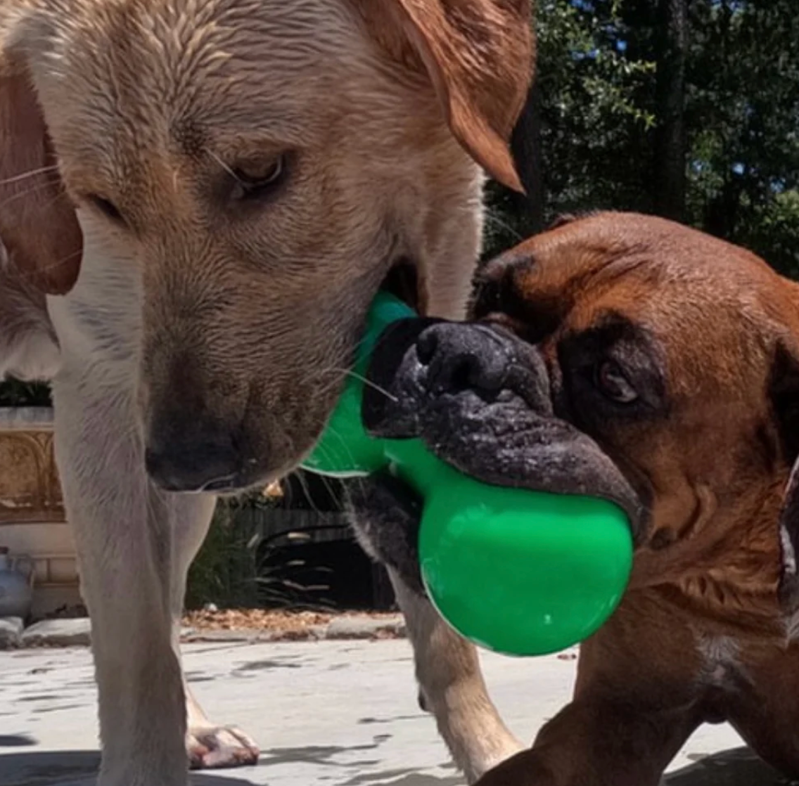 Tough chew dog toy NZ