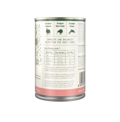 Salmon dog food for dogs