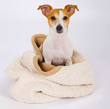 Tall Tails Burrow Blanket