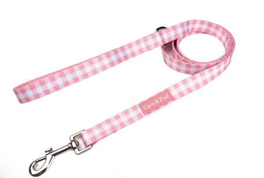 Coco dog lead