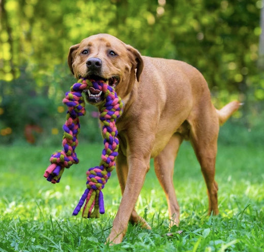 Dharma Wool knotted rope dog toy 10inch