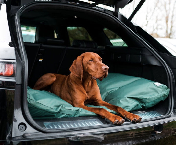 Danish Design Duvet Country Green- Waterproof dog bed