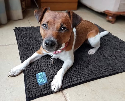 Henry Wag Microfibre Noodle Pet Mat