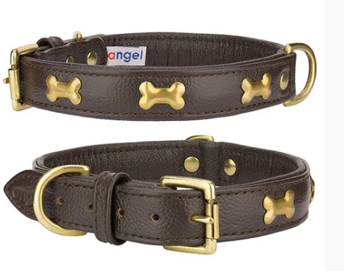 Angel dog Leather collar Rotterdam Bones 55cm