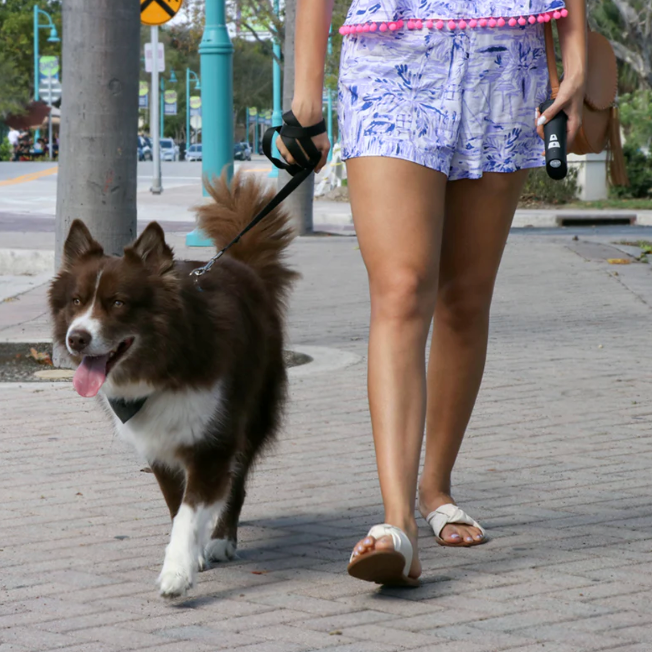 OnGuard Ultrasonic Dog Trainer and Barking Device