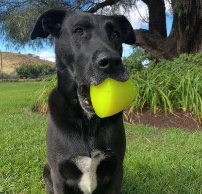 RuffDawg Indestructible Dog Toy Dawg X Extreme