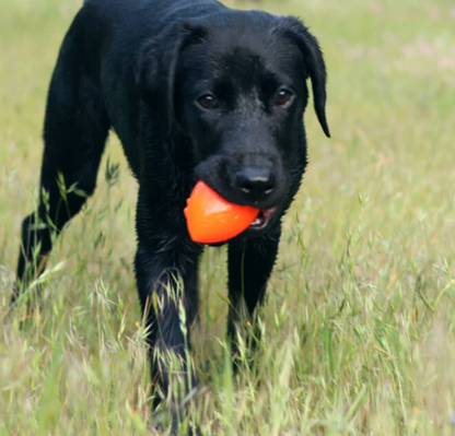 Best seller - RuffDawg Football Indestructible Dog Toy XL